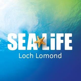 Loch Lomond Sealife Aquarium - Loch Lomond Festivals